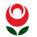 Radishes and Roses